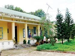 Quản trang Nghĩa trang liệt sĩ Trường Sơn : Hàng vạn bước mỗi ngày ảnh 2 Quản trang Nghĩa trang liệt sĩ Trường Sơn : Hàng vạn bước mỗi ngày ảnh 2