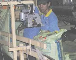 ABS: Sản xuất thức ăn chăn nuôi theo độ tuổi