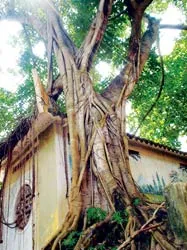 Nghĩa trang liệt sĩ Trường Sơn đã có nhà vệ sinh công cộng ảnh 2 Nghĩa trang liệt sĩ Trường Sơn đã có nhà vệ sinh công cộng ảnh 2