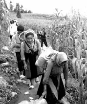 Tan hoang vì... quặng thiếc