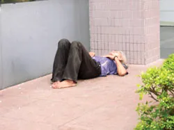 Bạ đâu ngủ đó! ảnh 7