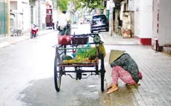 Bạ đâu ngủ đó! ảnh 8