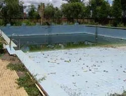 Bể bơi bị bỏ hoang