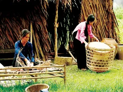 Đố vui