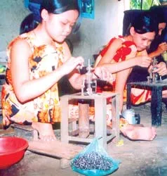 ĐBSCL: Nhộn nhịp dịch vụ mùa lũ ảnh 2 ĐBSCL: Nhộn nhịp dịch vụ mùa lũ ảnh 2
