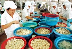 Thu hút FDI nông nghiệp: Thế yếu, lực kém