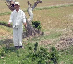 Bài 3: Vùng đất bị lãng quên