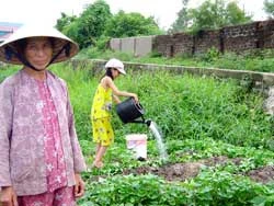 Đà Nẵng lo lắng về “tồn lưu” chất độc dioxin ảnh 2 Đà Nẵng lo lắng về “tồn lưu” chất độc dioxin ảnh 2