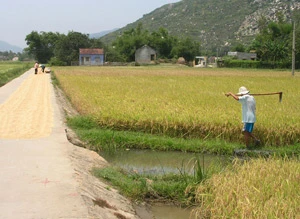 Trở lại vùng đất thảm sát