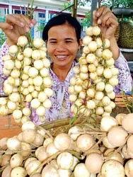 Nơi hiếm nước ngọt hơn cả Trường Sa ảnh 2 Nơi hiếm nước ngọt hơn cả Trường Sa ảnh 2