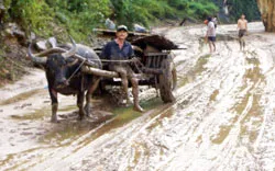 Kim Tân, Thạch Thành (Thanh Hóa): Chìm trong biển nước ảnh 3 Kim Tân, Thạch Thành (Thanh Hóa): Chìm trong biển nước ảnh 3