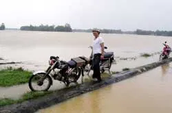 Vẫn ở mức nguy hiểm ảnh 4 Vẫn ở mức nguy hiểm ảnh 4