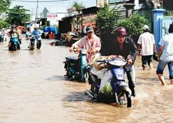 Triều cường ở TPHCM: Ngập kéo dài, thiệt hại càng lớn ảnh 3 Triều cường ở TPHCM: Ngập kéo dài, thiệt hại càng lớn ảnh 3