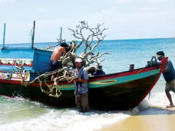 Nước mắt của rừng