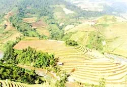 Ngắm thu vàng Mù Cang Chải