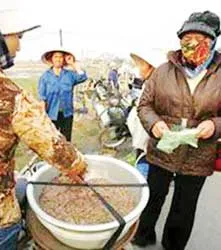 Củ niễng xào rươi