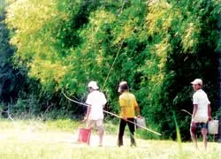 Góc ảnh đẹp