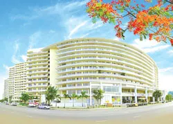 COTECCONS Group và sự nhìn nhận của nhà đầu tư