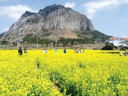 Kỳ thú Jeju