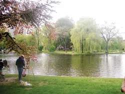 Công viên Boston (Public garden)