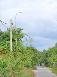 Cái sảy nảy cái ung