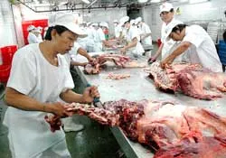 Vissan góp phần giảm sốt thị trường thịt heo