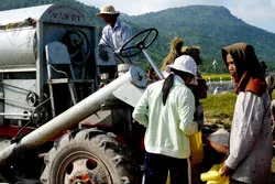 Máy suốt “Made in An Giang” đi xa...
