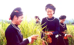 Du lịch về cội nguồn