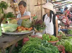 Sinh viên trong cơn “sốt giá”