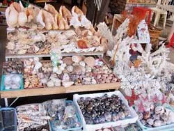 Săn hàng “Sách đỏ” ảnh 2 Săn hàng “Sách đỏ” ảnh 2