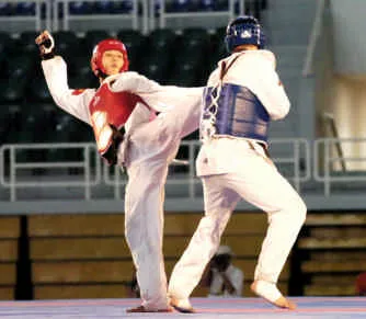 Teakwondo và Karatedo xuất trận, Pencak Silat sẽ lấy nhiều vàng ảnh 1 Teakwondo và Karatedo xuất trận, Pencak Silat sẽ lấy nhiều vàng ảnh 1