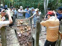 TP Hồ Chí Minh: Nhiều di tích, ít phát huy! ảnh 2 TP Hồ Chí Minh: Nhiều di tích, ít phát huy! ảnh 2