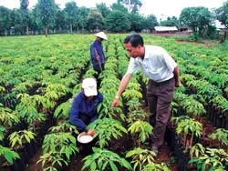 Sôi động đầu tư ra nước ngoài