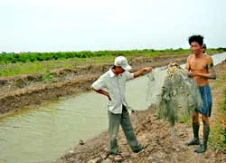 Vĩnh Thịnh, Bạc Liêu: Lại “nóng” chuyện đất