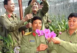 Hoa trên đá