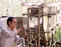 Năm 2020- Công nghệ sinh học VN đạt trình độ khu vực