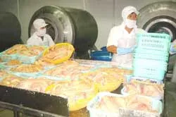 Ngân hàng “treo vốn” nông dân “treo hầm”