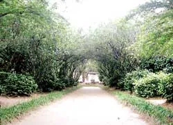 1 tuyến đường, 4 điểm du lịch ảnh 2 1 tuyến đường, 4 điểm du lịch ảnh 2