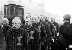 Đồng minh biết rõ chính sách diệt chủng của Hitler?