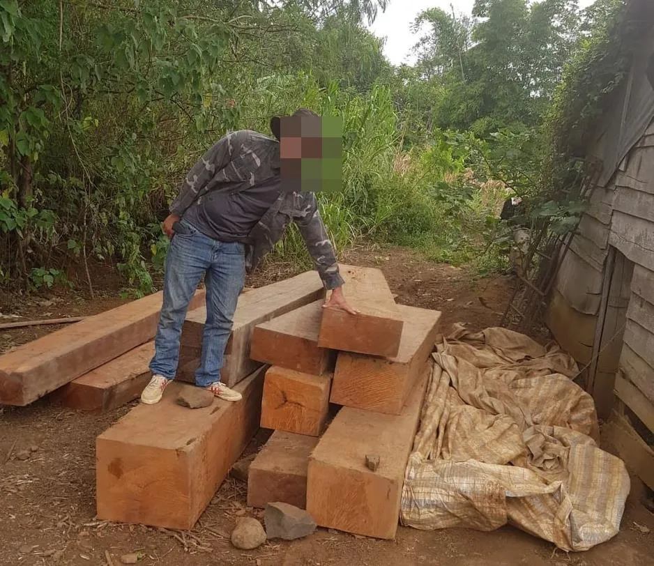 Phát hiện thêm nhiều điểm tập kết gỗ “khủng” tại Đắk Lắk ảnh 5