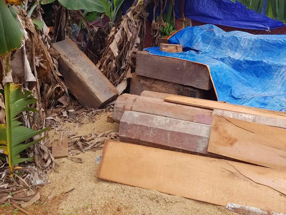 Phát hiện thêm nhiều điểm tập kết gỗ “khủng” tại Đắk Lắk ảnh 7