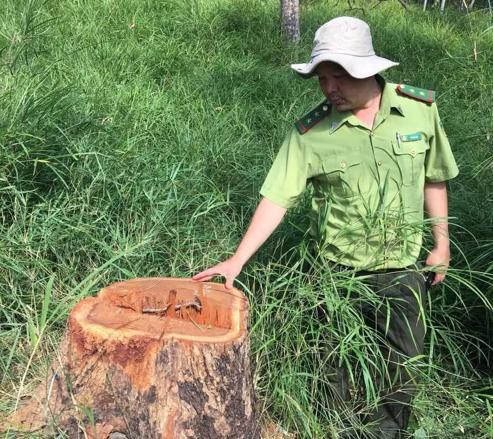 Bắt được nhóm đối tượng vây chém lực lượng kiểm lâm ảnh 2