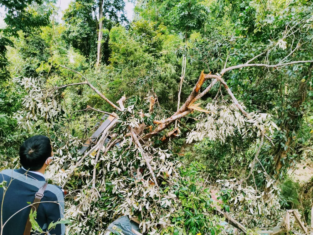 Hiện trường vụ tai nạn thảm khốc khiến 6 người chết ở Gia Lai ảnh 2