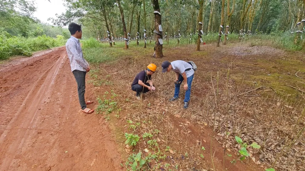 Vụ bé 8 tuổi bị đốt ở Đắk Lắk: Đề nghị khởi tố vụ án, khởi tố bị can ảnh 2