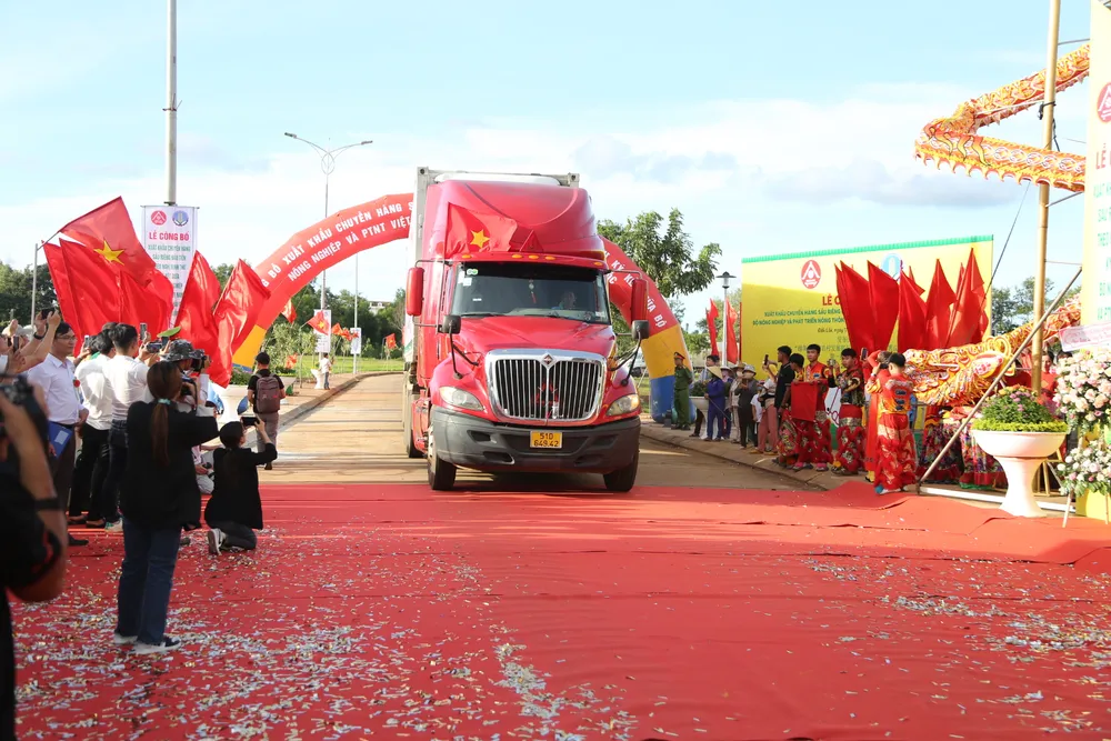 Lô hàng sầu riêng đầu tiên chính thức xuất khẩu sang Trung Quốc ảnh 5