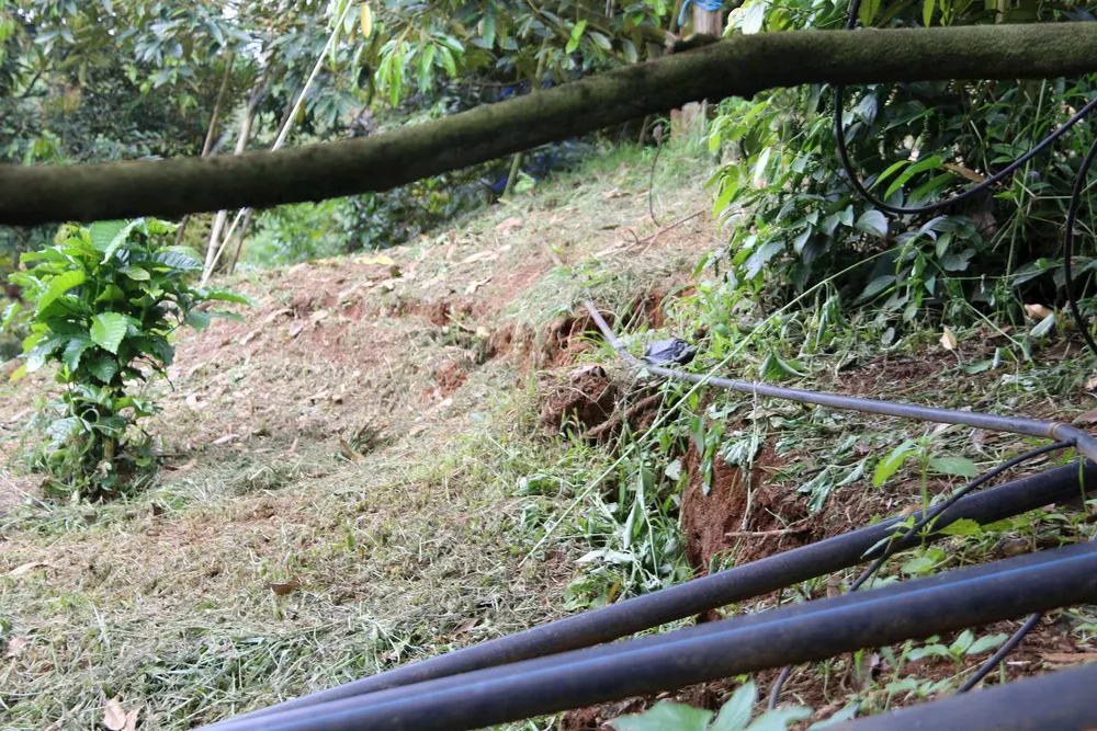 Nhiều vết nứt kéo dài tại thôn 17 (xã Nhân Cơ) Nhiều vết nứt kéo dài tại thôn 17 (xã Nhân Cơ)