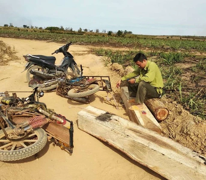 Trạm phó bảo vệ rừng bị hành hung khi đang tuần tra