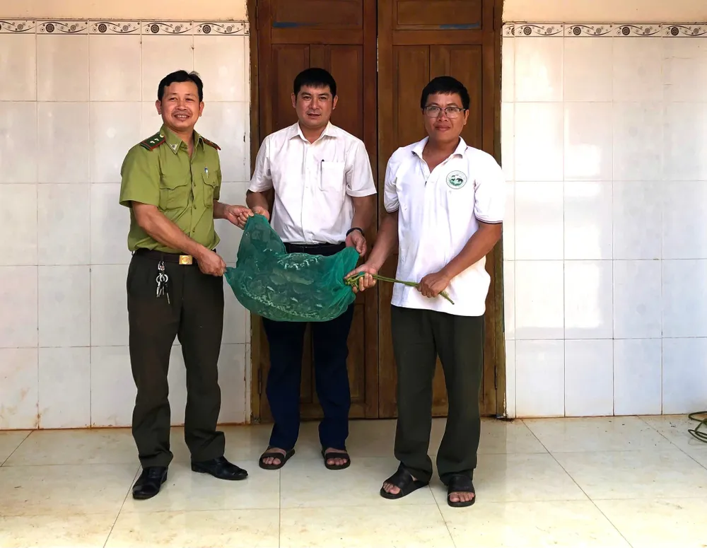 Trăn gấm nặng 21kg được bàn giao cho Trung tâm bảo tồn voi, Cứu hộ động vật và Quản lý bảo vệ rừng tỉnh 508397401_122139214076803248_4610059676080621659_n.jpg