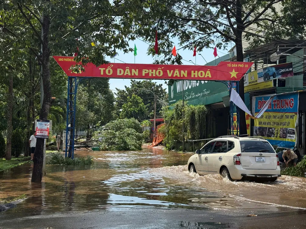 Mưa lớn và dông lốc làm gãy đổ nhiều cây xanh ở phường Bắc Gia Nghĩa z6886689988379_6f7caccb7fb9d97bb3bd76f455e17a16.jpg