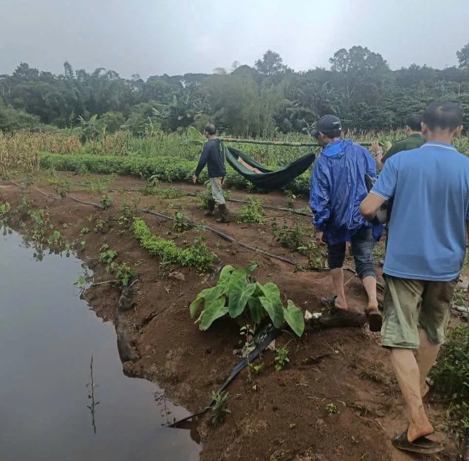 Hồ nước, nơi nạn nhân bị đuối nước z6889922757033_18d4e61ef961f599d3ea8a5b8d0a86f8.jpg